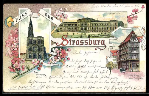Lithographie Strassburg, Das Münster, Universität, Altes Haus am Domplatz