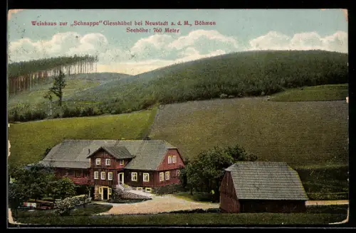 AK Giesshübel bei Neustadt, Weinhaus zur Schnappe, Gasthof in der Aussenansicht