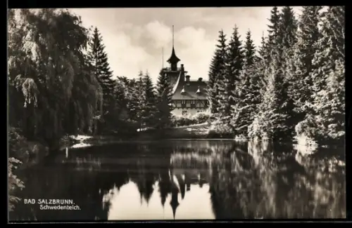 AK Bad Salzbrunn, Partie am Schwedenteich