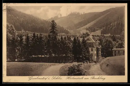AK Görbersdorf i. Schles., Heilanstalt am Buchberg mit Umgebung