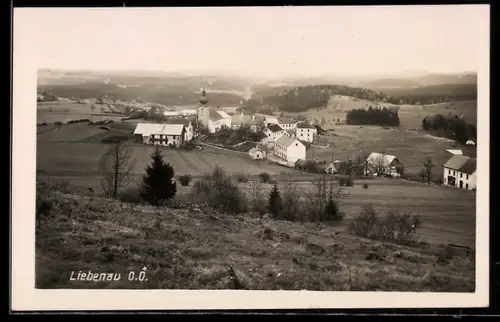 AK Liebenau /O. Ö., Ortsansicht aus der Vogelschau