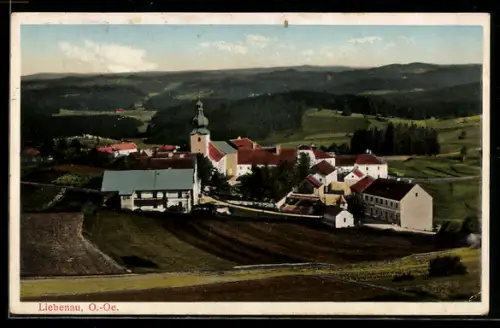 AK Liebenau /O.-Oe., Ortsansicht mit Hügeln