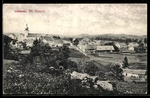 AK Liebenau /Ob. Öst., Ortsansicht mit Kirche