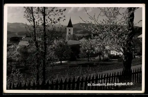 AK St. Leonhard bei Freistadt, Ortspartie mit Kirche
