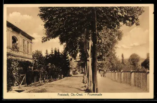 AK Freistadt, Auf der Promenade