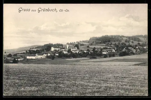 AK Grünbach /Ob.-Oe., Teilansicht mit Kirche