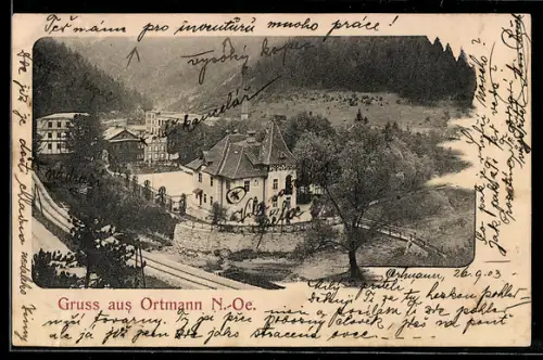 AK Ortmann /N.-Oe., Ortspartie