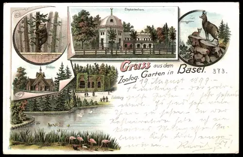 Lithographie Basel, Zoologischer Garten mit Elefantenhaus, Hirschhaus und Eulenburg