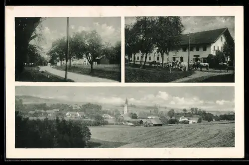 AK Mehrbach im Innkreis, Ortsansicht, Strassenpartie