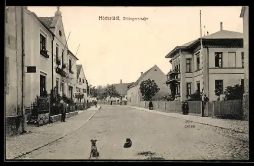 AK Höchstädt, Hunde in der Dillingerstrasse