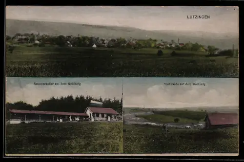 AK Lutzingen, Sommerkeller u. Viehweide auf dem Goldberg