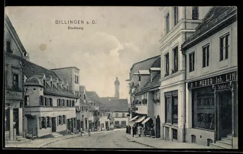 AK Dillingen a. D., Strasse am Stadtberg, P. P. Huber