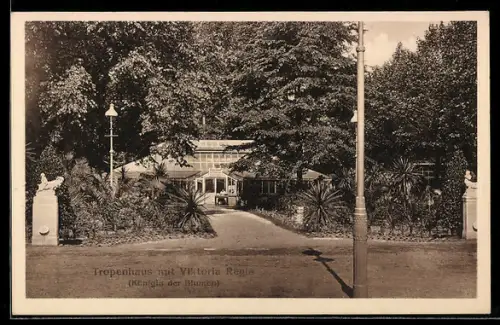 AK Minden i. W., Gewerbe-, Industrie- und Kunst-Ausstellung 1914, Tropenhaus mit Victoria Regina