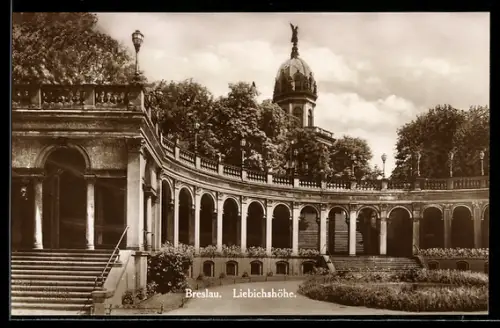 AK Breslau, Liebichshöhe, Teilansicht