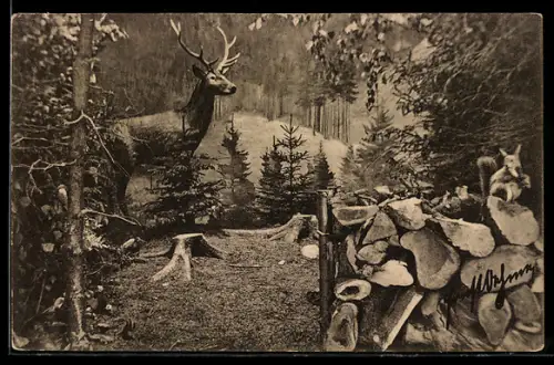 AK Freiberg, Erzgebirgs-Ausstellung 1912, Diorama aus der Jagdabteilung