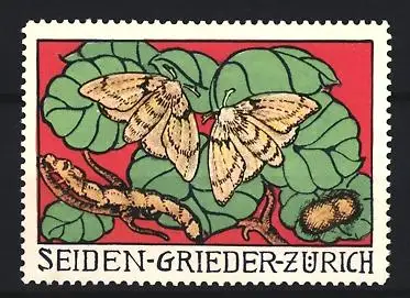Reklamemarke Zürich, Seiden-Grieder, Seidenraupen und Maulbeerbaum-Blätter