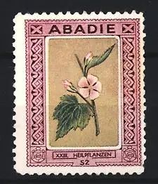 Reklamemarke ABADIE Zigarettenblättchen, Heilpflanzen Malve