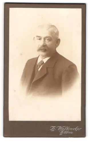 Fotografie H. Walbrecker, Zittau, Portrait betagter Herr mit grauem Haar und Schnurrbart