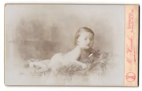 Fotografie M. Hirsch, Berlin-Spandau, Portrait süsses Mädchen auf Fell liegend