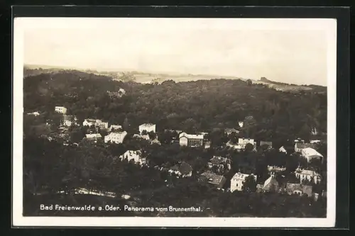 AK Bad Freienwalde a. Oder, Panorama vom Brunnenthal