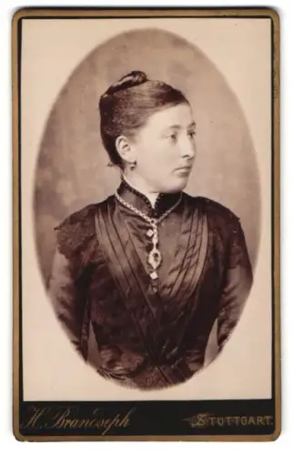 Fotografie Hermann Brandseph, Stuttgart, Marienstrasse 36, Porträt einer Dame im eleganten Kleid