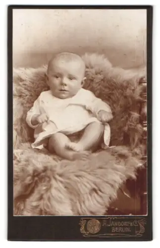 Fotografie A. Jandorf & Co, Berlin, Bellealliancestr. 1/2, Porträt eines Kleinkindes auf einem Fell