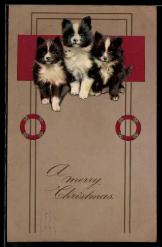 Präge-AK Drei kleine Hundewelpen, Weihnachten