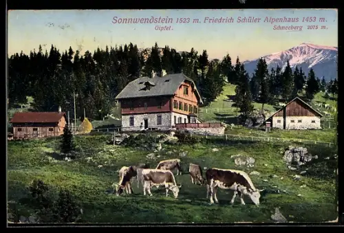 AK Sonnwendstein, Friedrich Schüler Alpenhaus mit Gipfel und Schneeberg