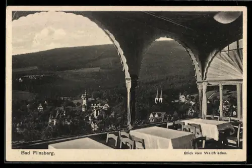 AK Bad Flinsberg /Isergebirge, Blick vom Gasthaus Waldfrieden