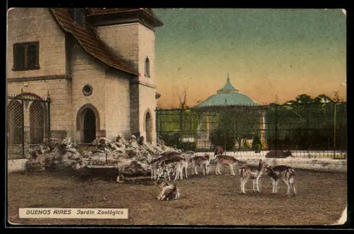 AK Buenos Aires, Jardin Zoológico, Rehe im Gehege
