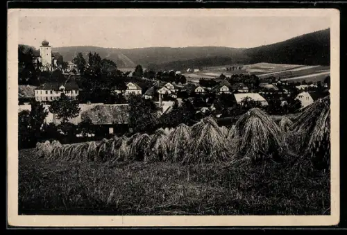 AK Neugedein /Böhmerwald, Ortsansicht vom Feld aus
