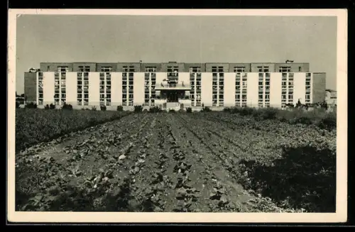 AK Podebrady, Heilanstalt Humanita