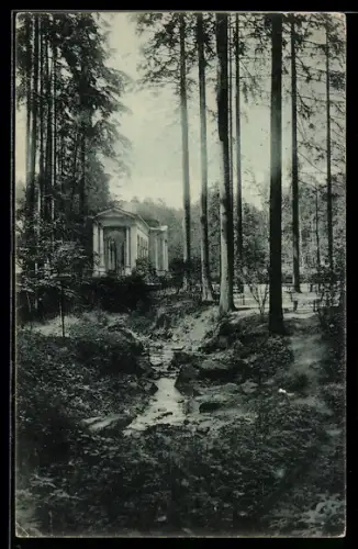 AK Marienbad, Partie an der Waldquelle