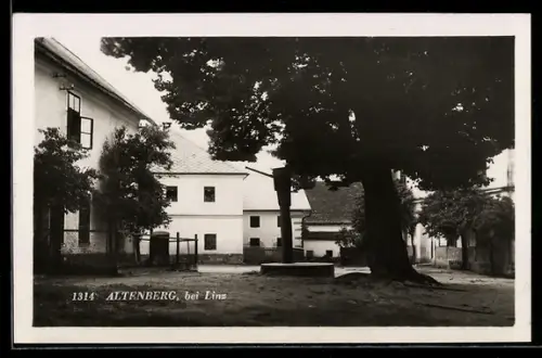 AK Altenberg bei Linz, Platz mit Brunnen und grossem Baum