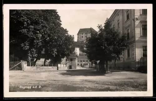 AK Steyregg a. d. D., Strassenpartie mit Schloss