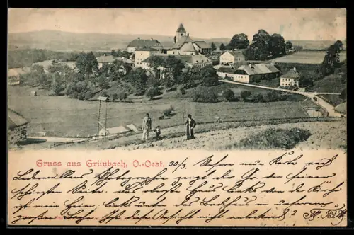 AK Grünbach /O.-Oest., Ortspanorama mit Landstrasse u. Feldern