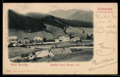 AK Schwarzau im Gebirge, Villen Bedenik aus der Vogelschau, Gasthof Carl Singer jun.