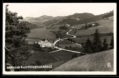 AK Pierbach, Gasthaus zur Steinbrukmühle, Tal mit Landstrasse und Bergpanorama