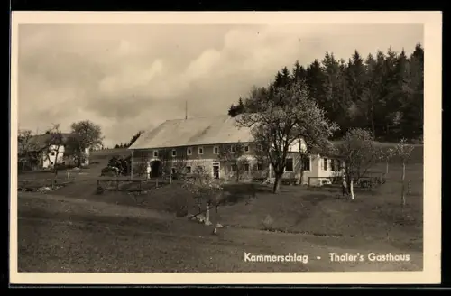 AK Kammerschlag, Gasthaus Thaler