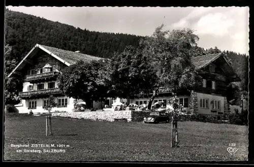 AK Gaisberg /Salzburg, Berghotel Zistelalm mit Almwiese