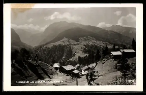 AK Birnbaum /Wolayertal, Talblick mit Gehöften