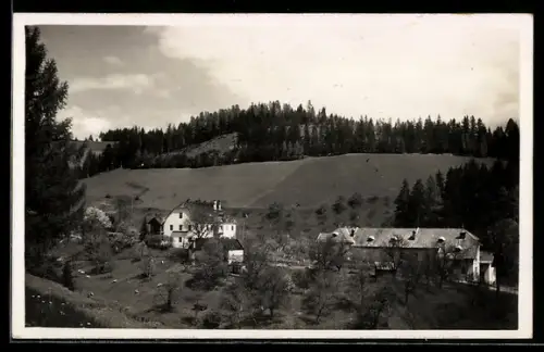 AK Bad St. Leonhard im Lavanttal, Preblau Sauerbrunn, Panorama mit Gehöften