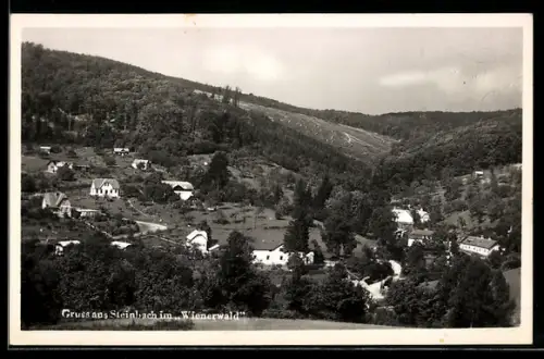 AK Steinbach im Wienerwald, Panorama mit Häusern und bewaldetem Hang