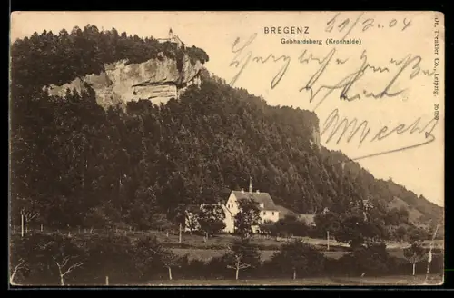 AK Bregenz, Gebhardsberg Kronhalde