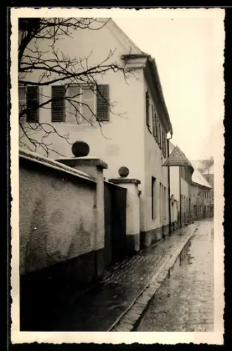 Foto-AK Dillingen /Donau, Verregnete Strassenpartie und Wohnhäuser