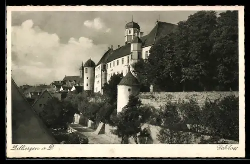 AK Dillingen a. D., Schloss mit Strassenpartie