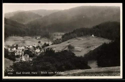 AK Bad Grund /Harz, Blick vom Kelstal