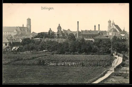 AK Dillingen / Donau, Ortsansicht mit Fabrik vom Feld aus