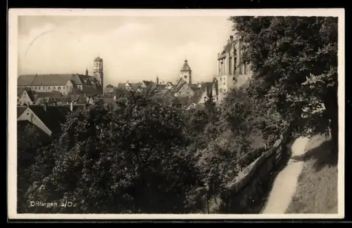 AK Dillingen a. D., Teilansicht mit Schloss