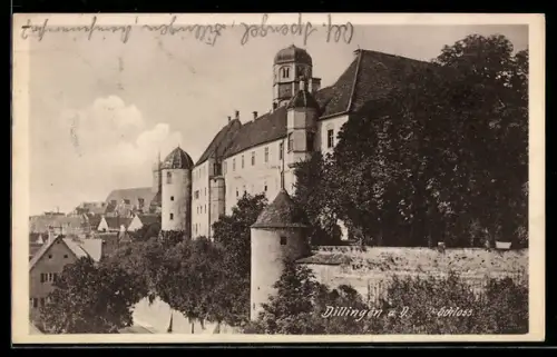 AK Dillingen a. D., Schloss